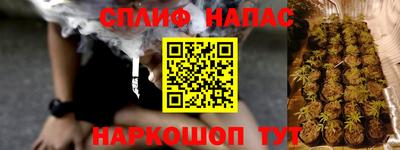 дурь Сланцы