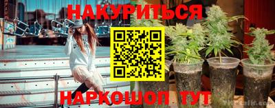 дурь Сланцы