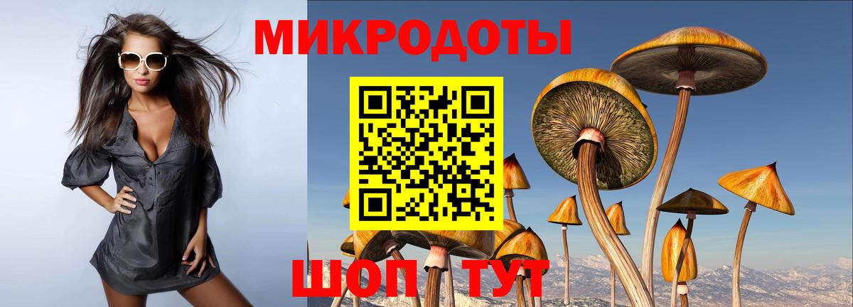 Амурск  Псилоцибиновые грибы Psilocybine cubensis  Вход с VPN 